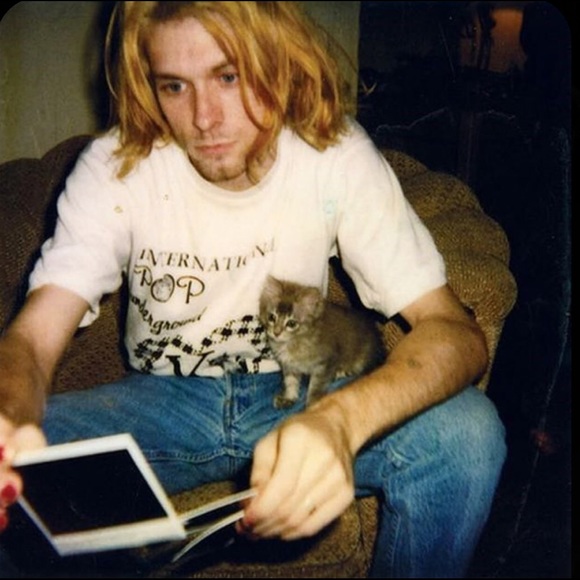 Meet your Posher, Belle - Picture 1 of 1